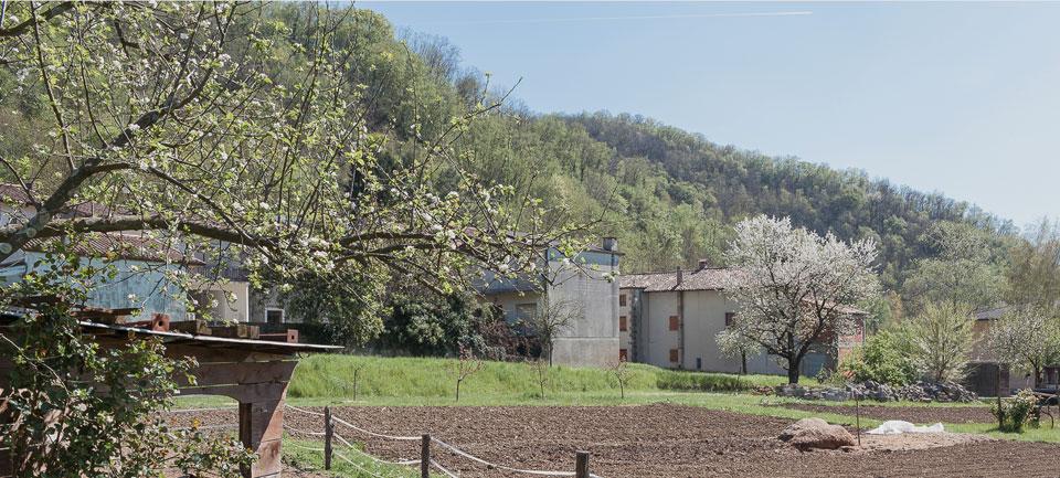 Dimezzare i costi con una caldaia a&nbsp;pellet