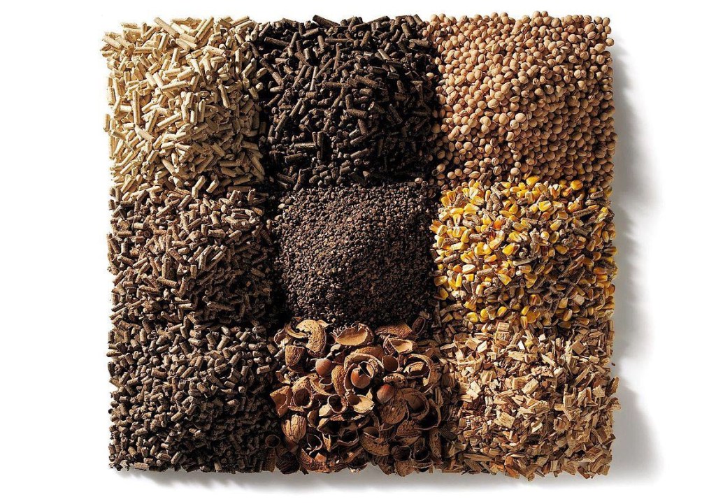 Biomassa, che cos’è?