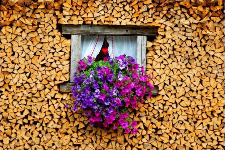 Come impilare la legna in modo&nbsp;artistico