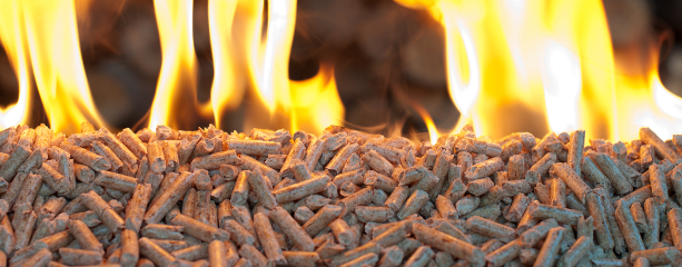 Alla ricerca del miglior&nbsp;pellet