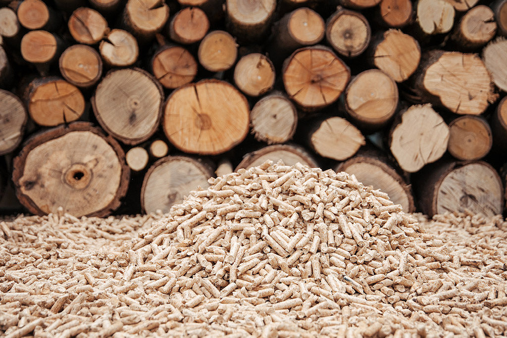 Riscaldare casa a costo zero (o quasi): risparmia con la stufa a legna o a&nbsp;pellet